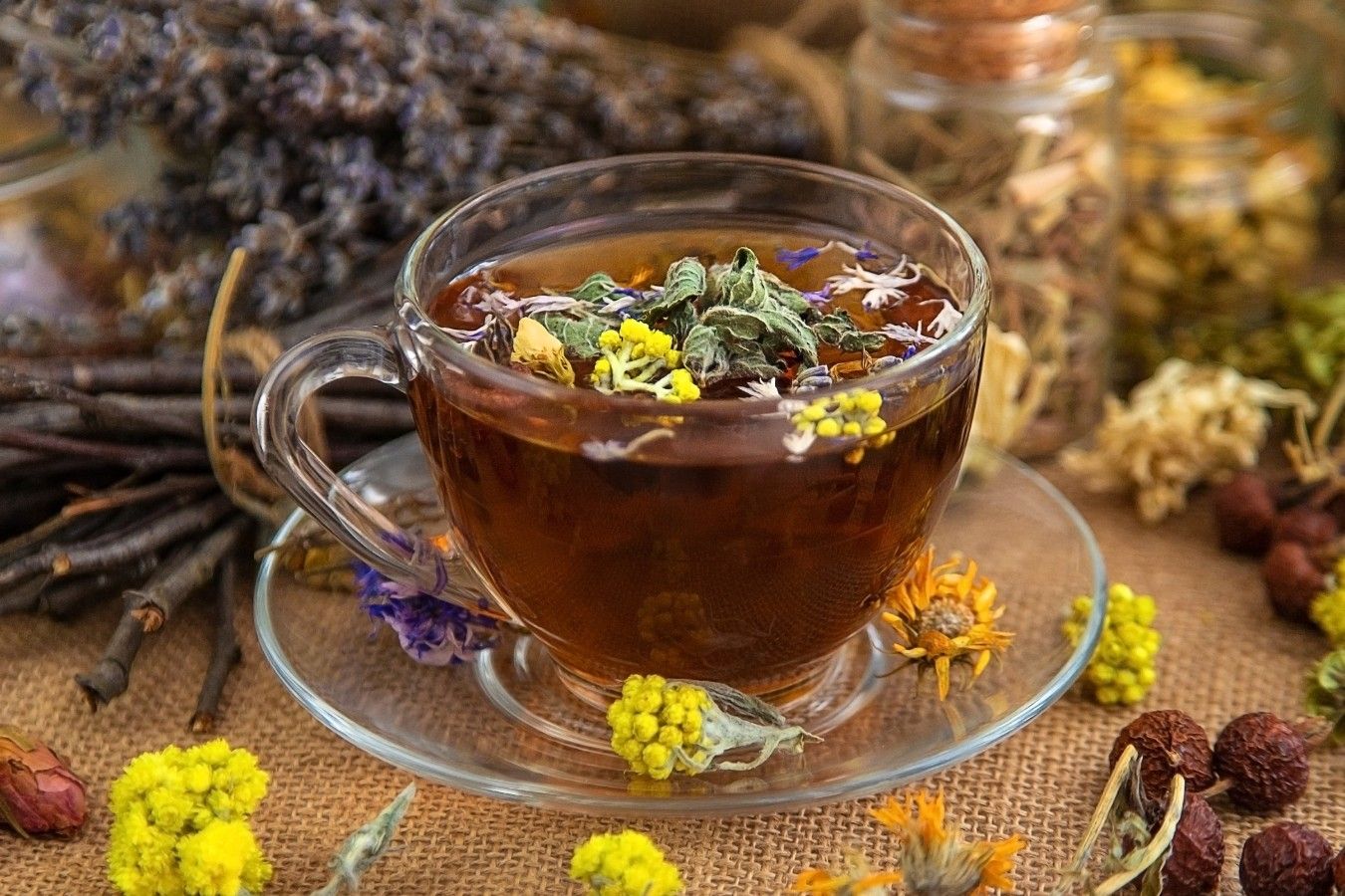 expectorant-tea-recipe-herbal-blend