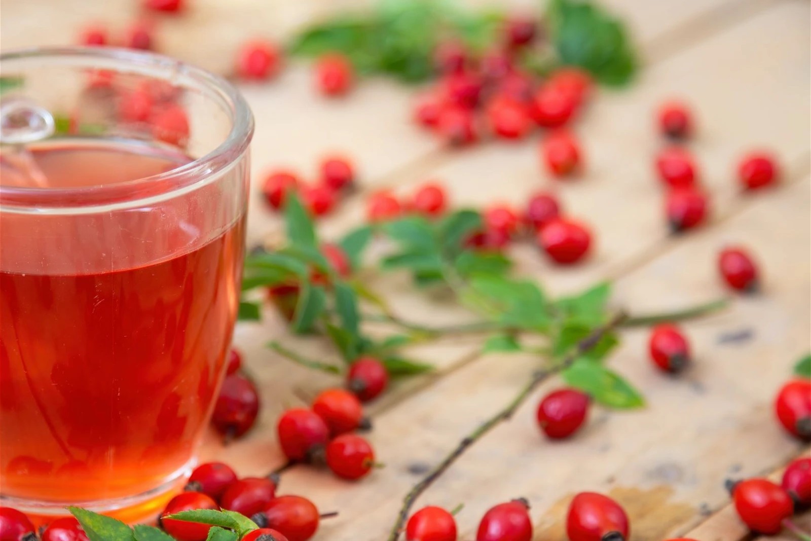 rosehip-tea-recipe