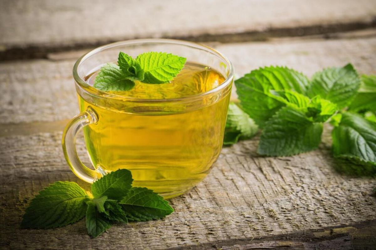 fresh-mint-tea-recipe-hot-or-iced